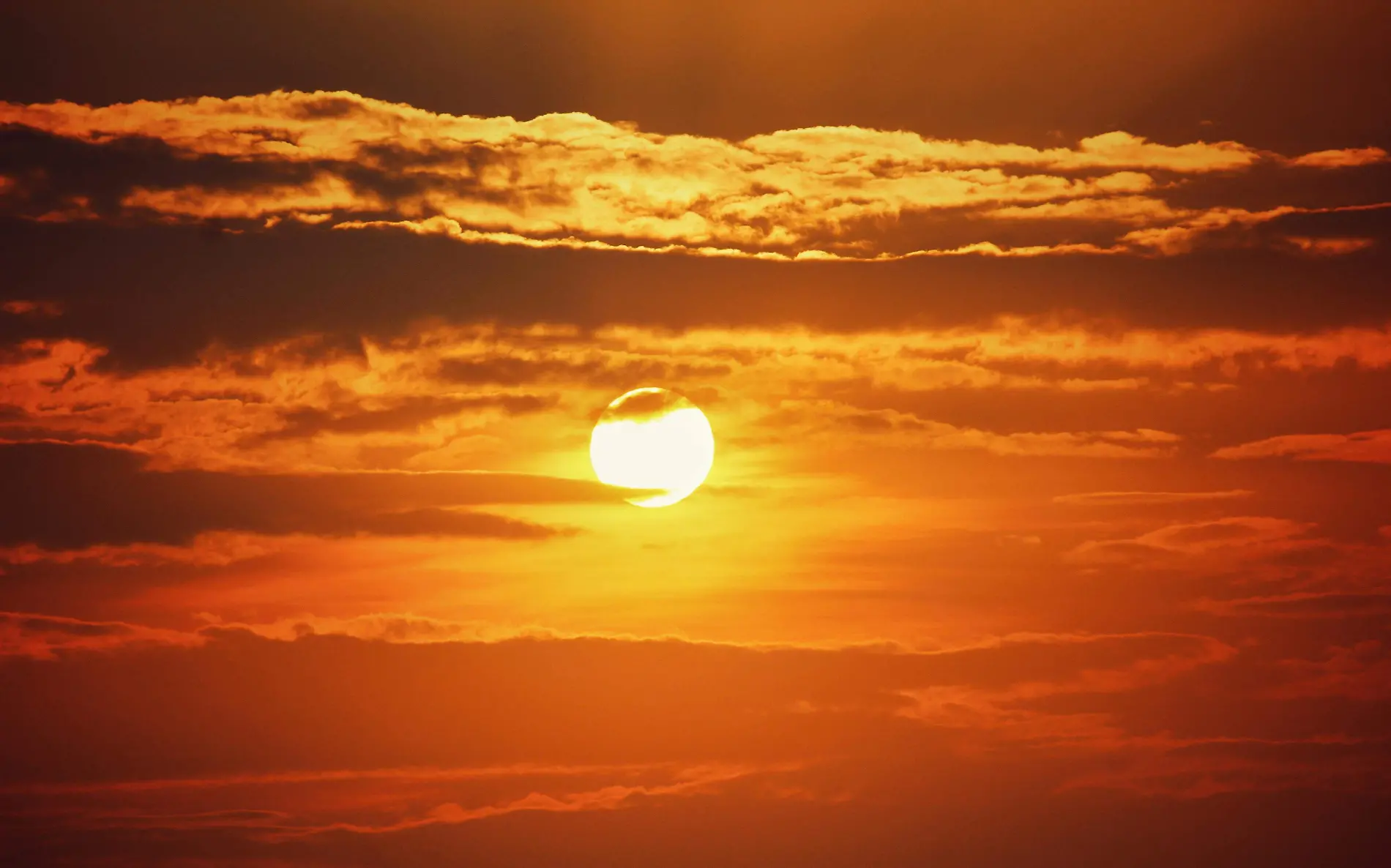 Olas de calor y estrés térmico afectan la salud 